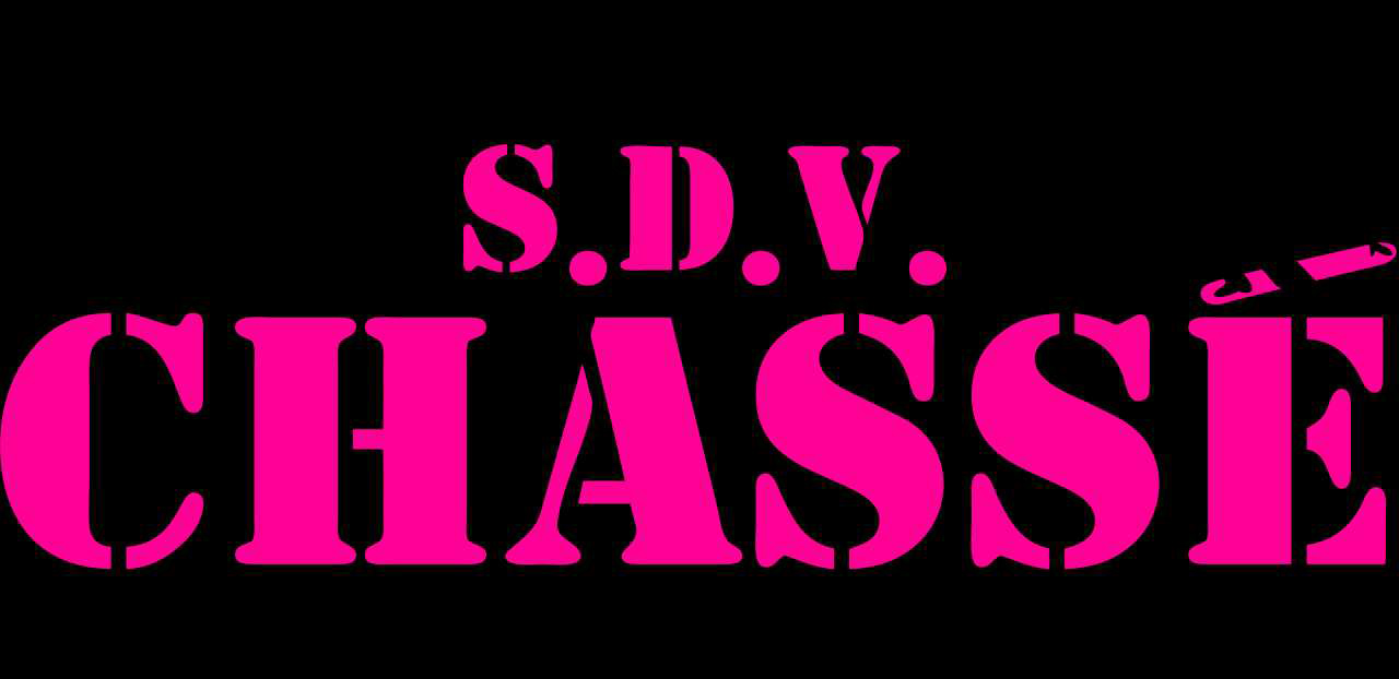 Chasse StudentenDansVereniging Jazzdance Optreden WAKNacht .jpg logo