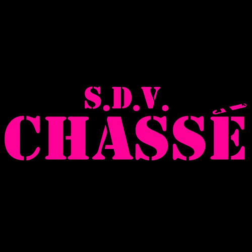 FI-Chasse StudentenDansVereniging Jazzdance Optreden WAKNacht .jpg logo