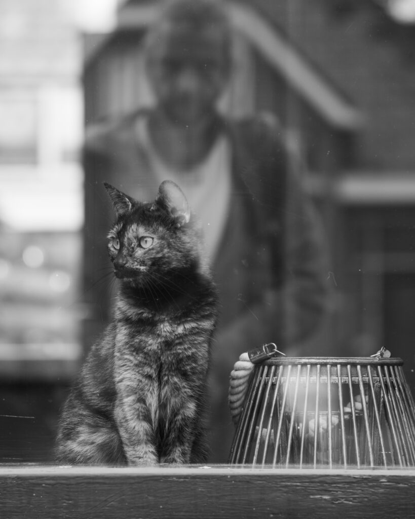 Markus Schremb – Expositie fotografie ‘Finding Beauty in the Ordinary’ (@ Lichtatelier)